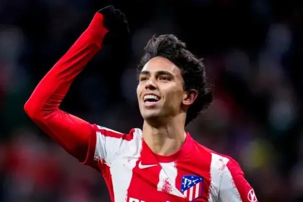 菲利克斯的技術(shù)特點是什么?